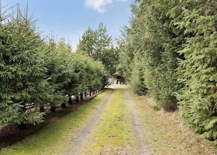 Ha308-hals-torndalstrand-6-a Hals